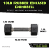 octo rubber dumbbell (sold individually) octo rubber dumbbell (sold individually)