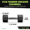 octo rubber dumbbell (sold individually) octo rubber dumbbell (sold individually)