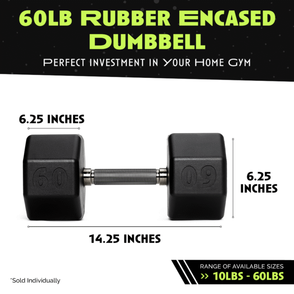 octo rubber dumbbell (sold individually) octo rubber dumbbell (sold individually)